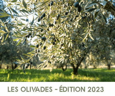 maison des huiles et olives, actualités, Olivades 2023