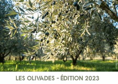 maison des huiles et olives, actualités, Olivades 2023