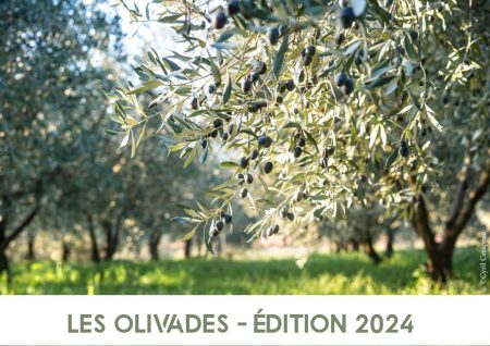 maison des huiles et olives, actualités, Olivades 2024