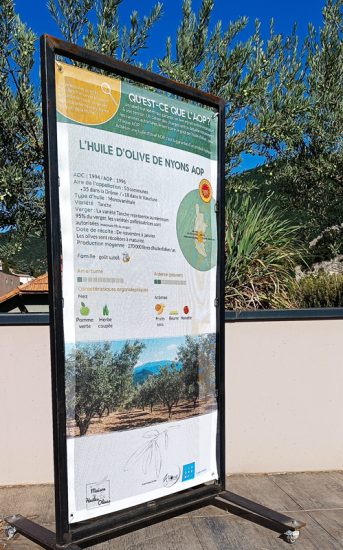 maison des huiles et olives, découvrir, les expositions, exposition "découverte des huiles d'olive en AOP françaises"