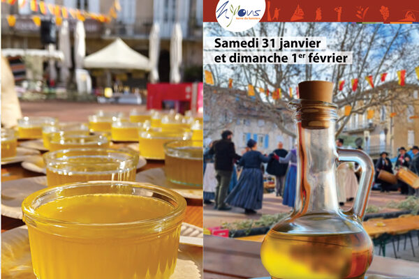 Alicoque-2026-fete-huile-nouvelle fête de l'alicoque, huile d'olive nouvelle à Nyons en février 2026